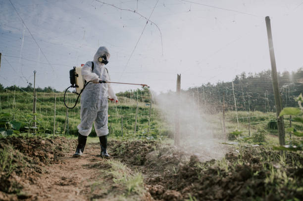 Best Local Pest Control Services  in Hurstbourne Acres, KY