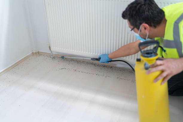 Best Mosquito Control Services  in Hurstbourne Acres, KY